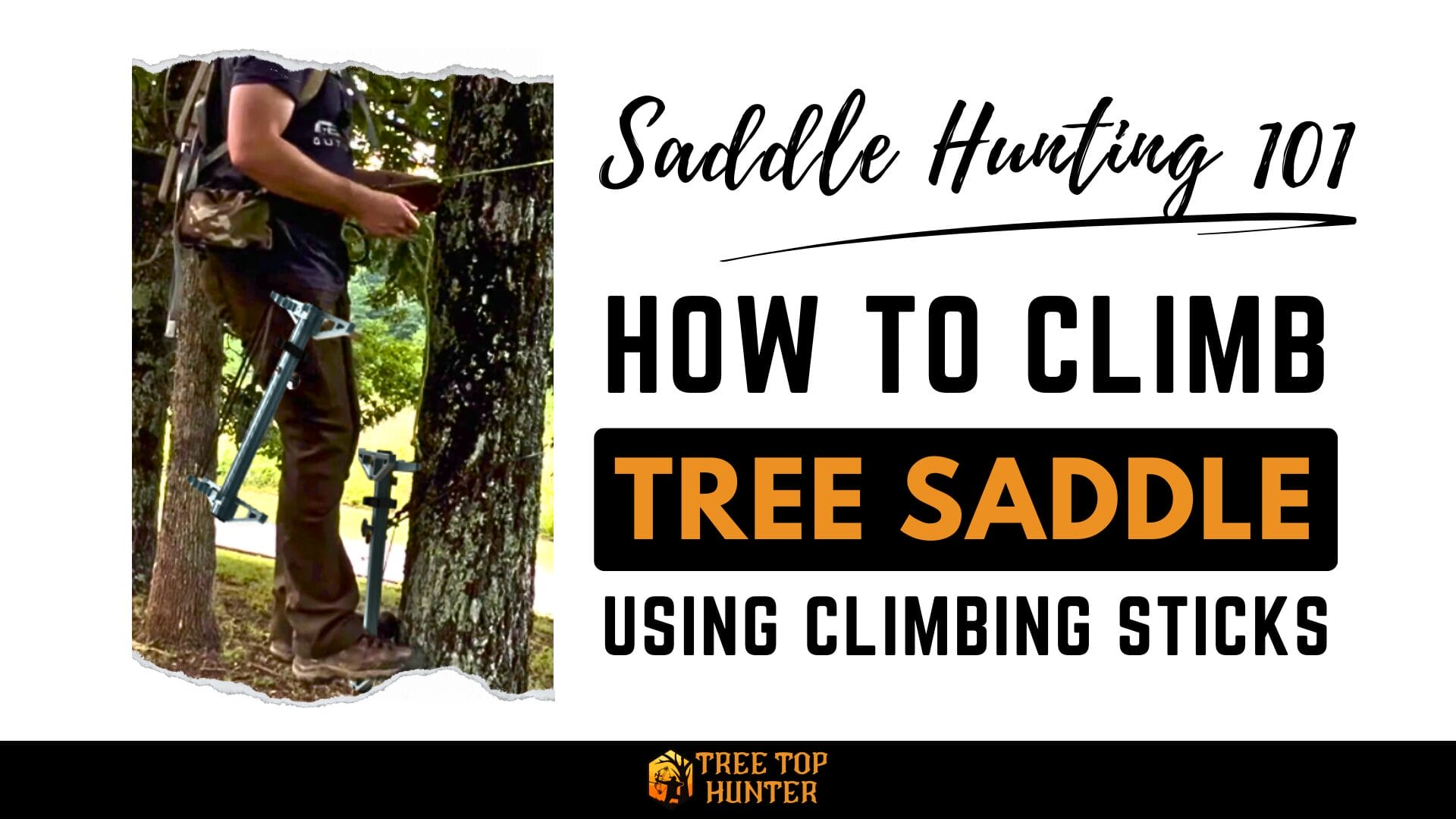 Saddle Hunting 101 How To Climb Tree Saddle Hunting